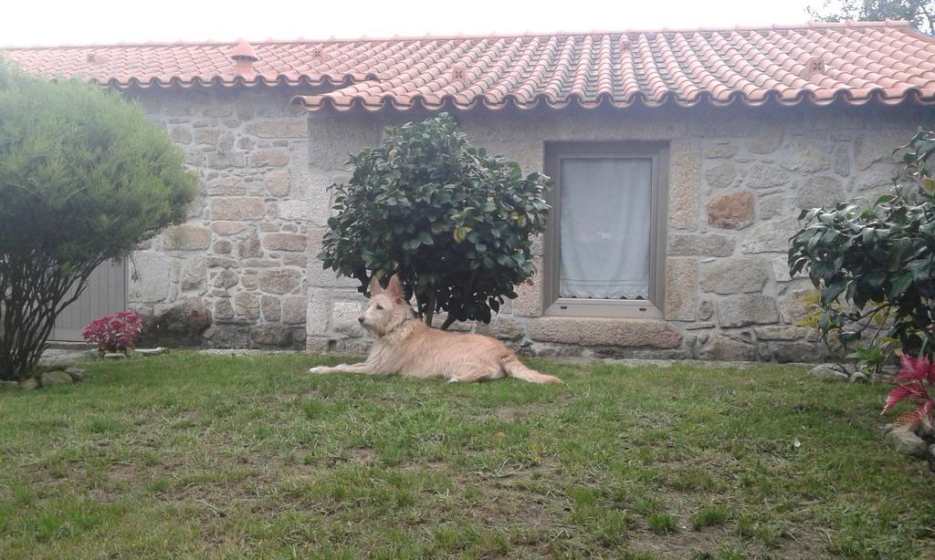 Casa Maria Da Assuncao Villa Vila Nova de Cerveira Habitación foto